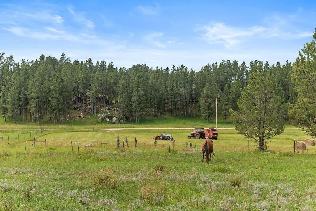 Papa'S Place On Willow Creek Кастер Экстерьер фото